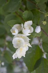 Similar image 7757919