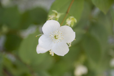 Similar image 7757920