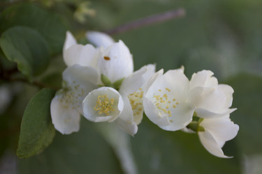 Similar image 7757921