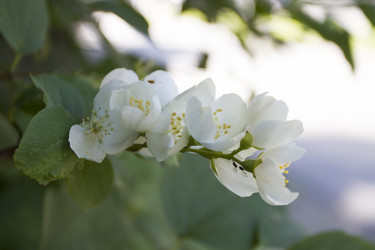 Similar image 7757922