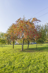 Similar image 7757924