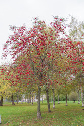 Similar image 7757927