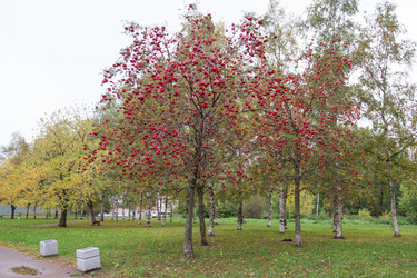 Similar image 7757928