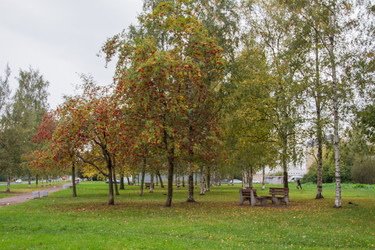 Similar image 7757932