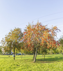 Similar image 7757934