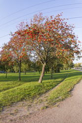 Similar image 7757936