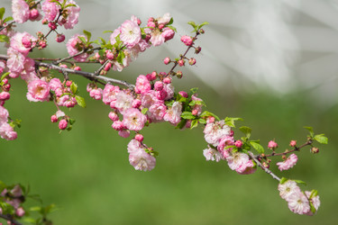 Similar image 7758013