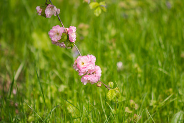 Similar image 7758015