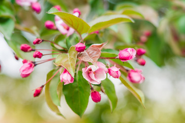 Similar image 7758017