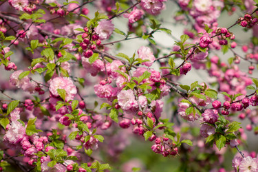 Similar image 7758018