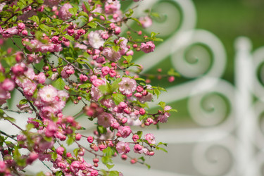 Similar image 7758019