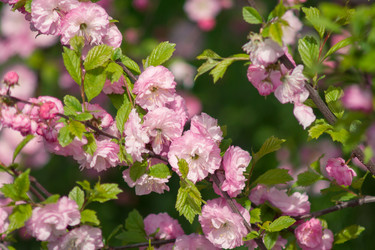 Similar image 7758020