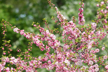 Similar image 7758022