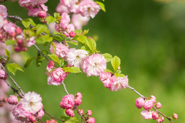 Similar image 7758023