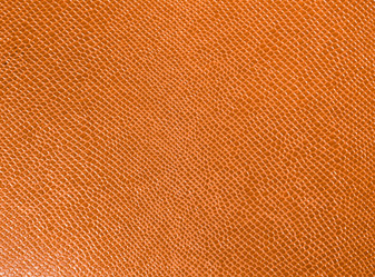 Similar image 7758242