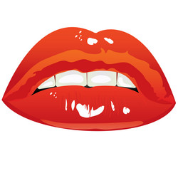 Similar image 7758247