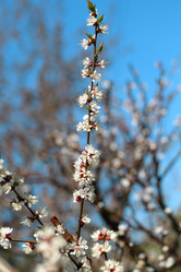 Similar image 7758373