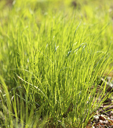 Similar image 7758377