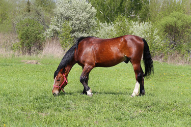 Similar image 7758379