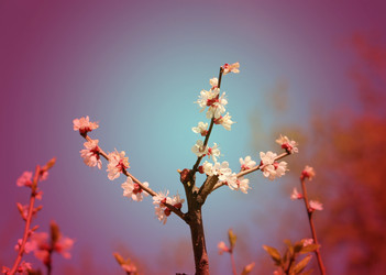 Similar image 7758389