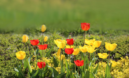 Similar image 7758391