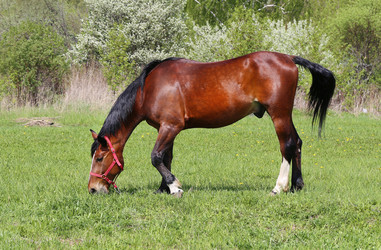 Similar image 7758393