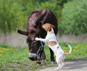 Similar image 7758394