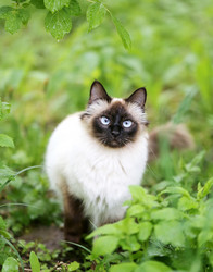 Similar image 7758396