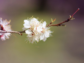 Similar image 7758400