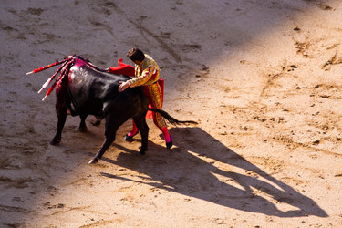 Similar image 7758580