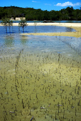 Similar image 7758695