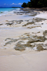 Similar image 7758700