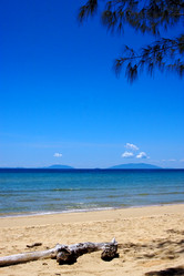 Similar image 7758701