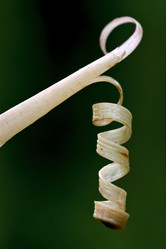 Similar image 7758704