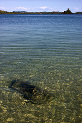 Similar image 7758715