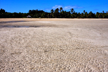 Similar image 7758749