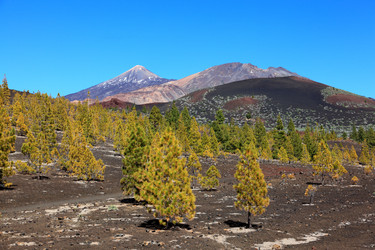 Similar image 7758990