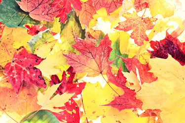 Similar image 7759053