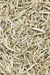 Similar image 7759191