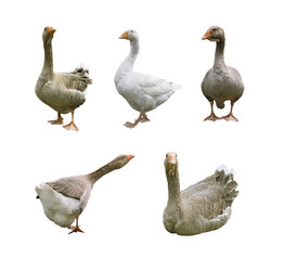 Similar image 7759270