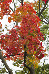 Similar image 7759284