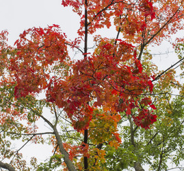 Similar image 7759286