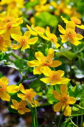 Similar image 7759296