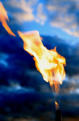 Similar image 7759300