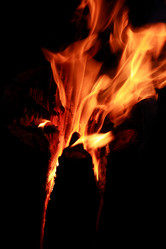 Similar image 7759301