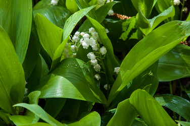 Similar image 7759320