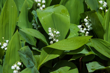 Similar image 7759321