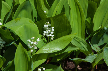 Similar image 7759323