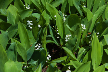 Similar image 7759324