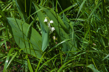 Similar image 7759325